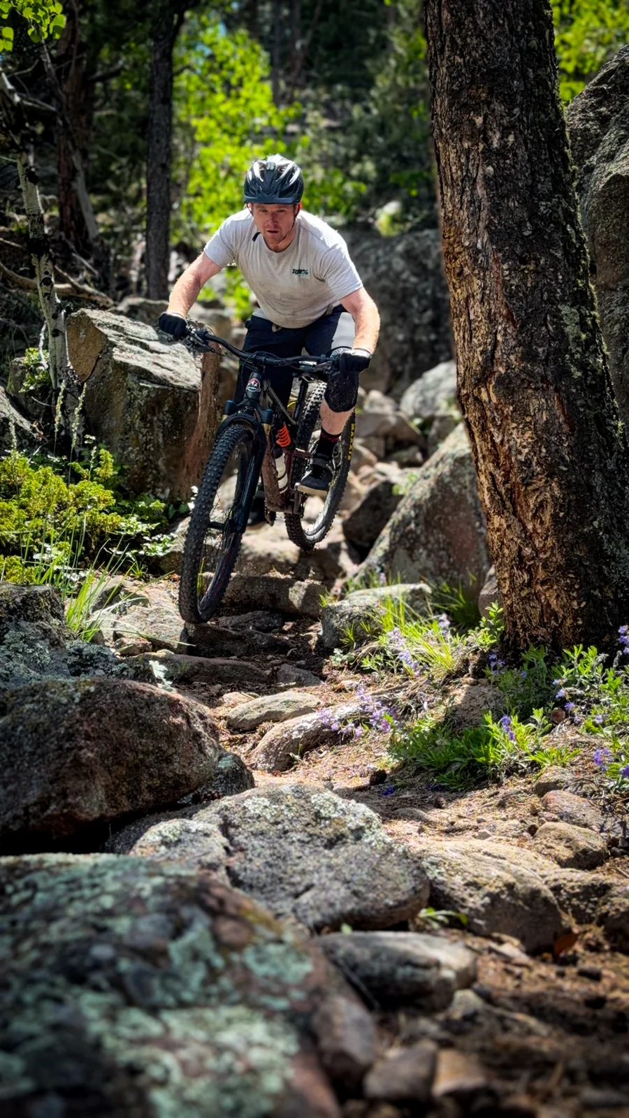 Mountain biking on a rocky forest trail
